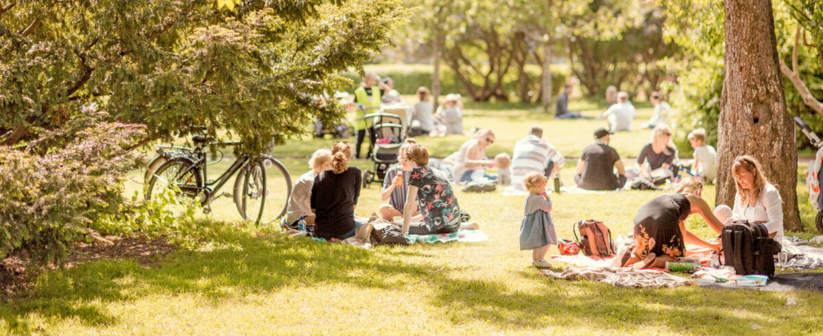 Stadstradgarden 0001 web e1710772027681