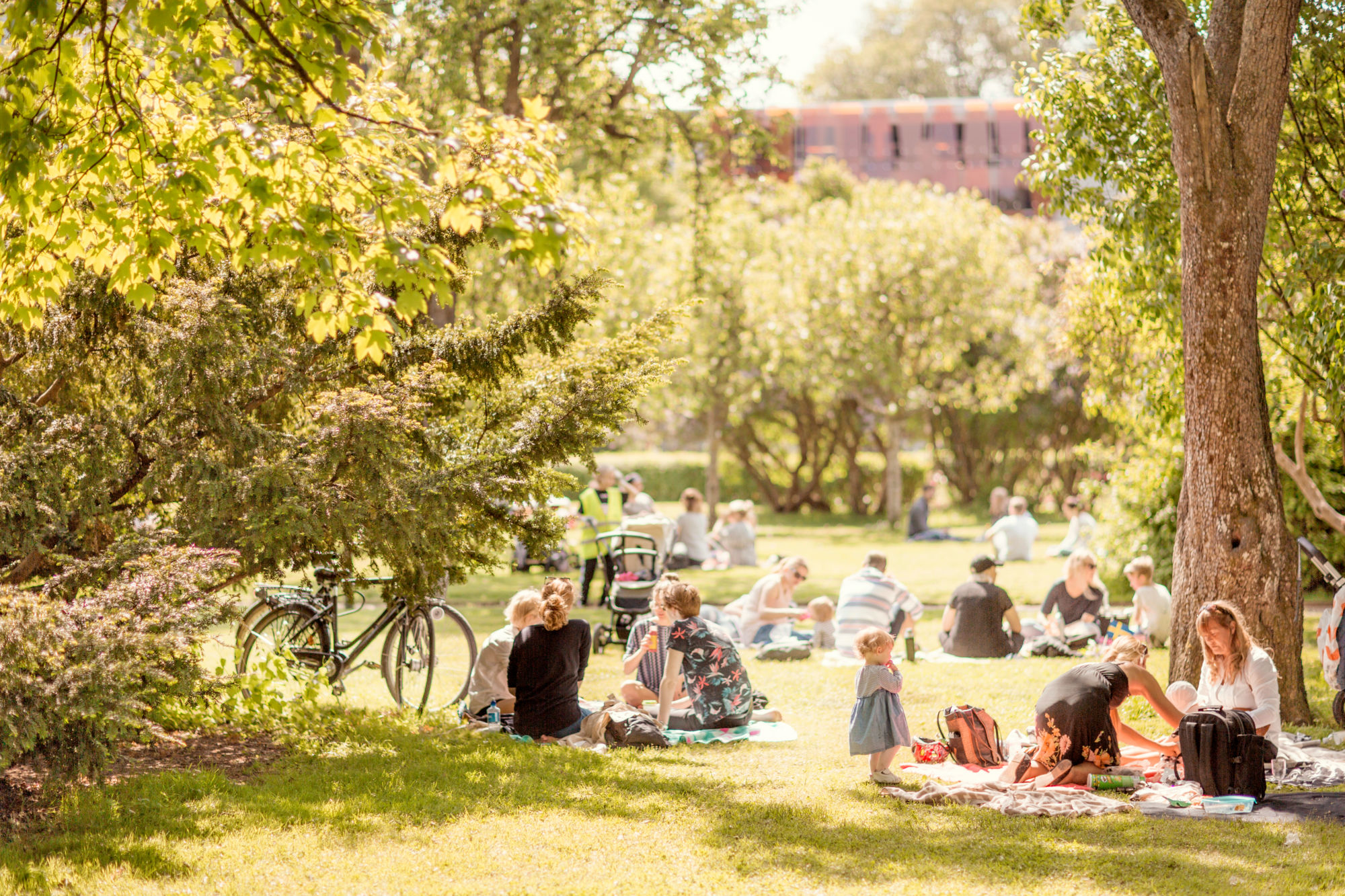 Stadstradgarden 0001 web